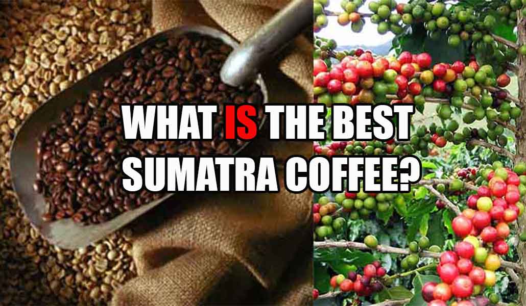 sumatra coffee origin
